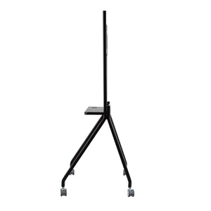 Smartboard stand